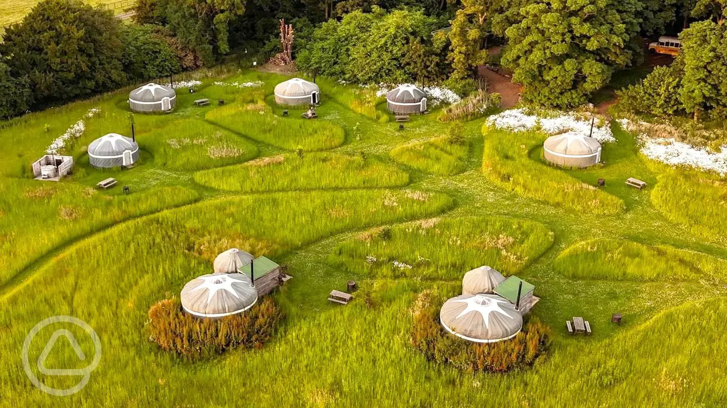 Aerial of the yurts