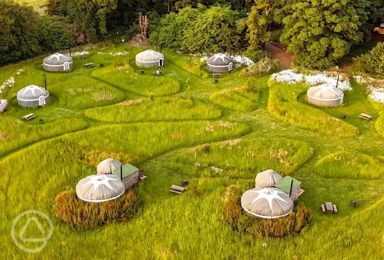 Aerial of the yurts