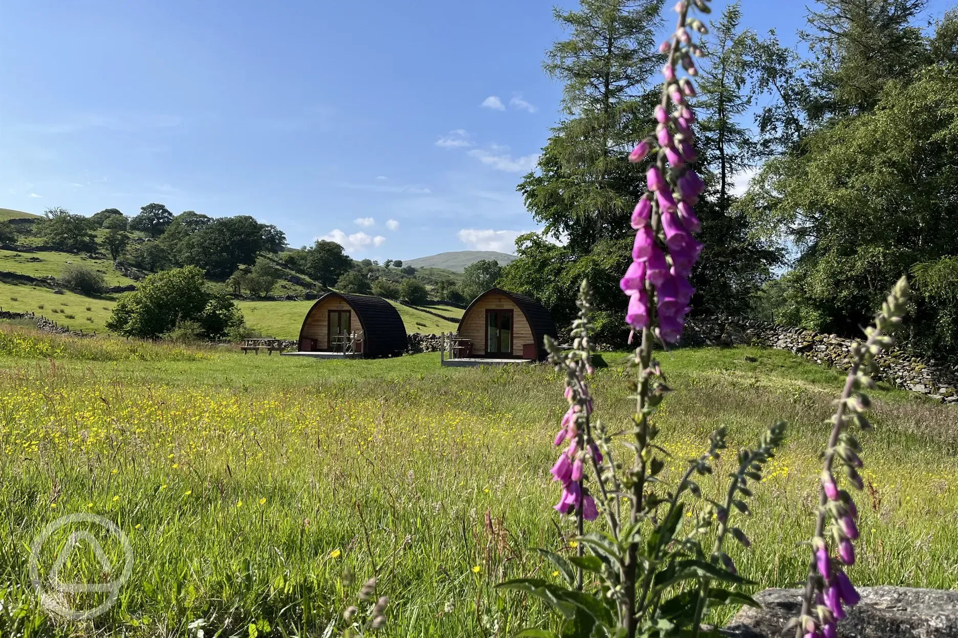 Glamping pods