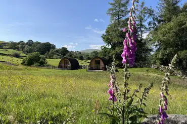 Glamping pods