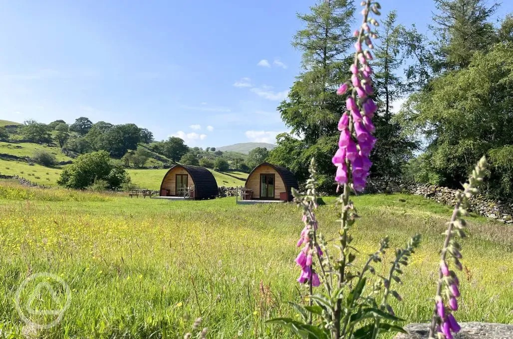 Glamping pods