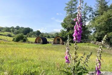 Glamping pods