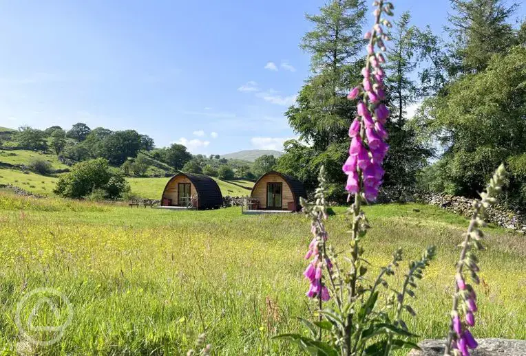 Glamping pods