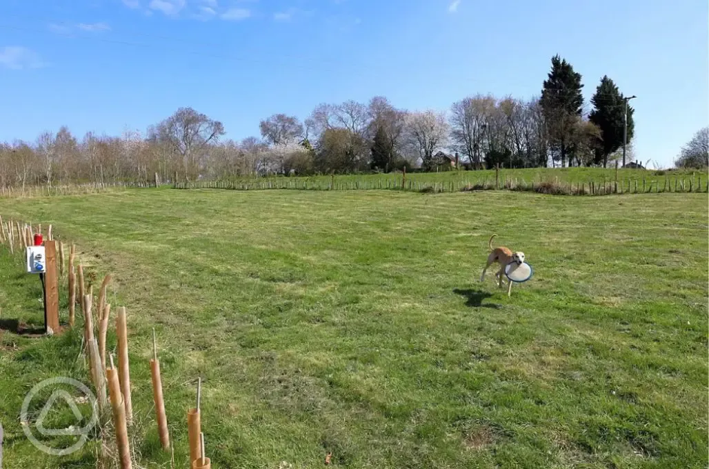 Dog friendly playing field