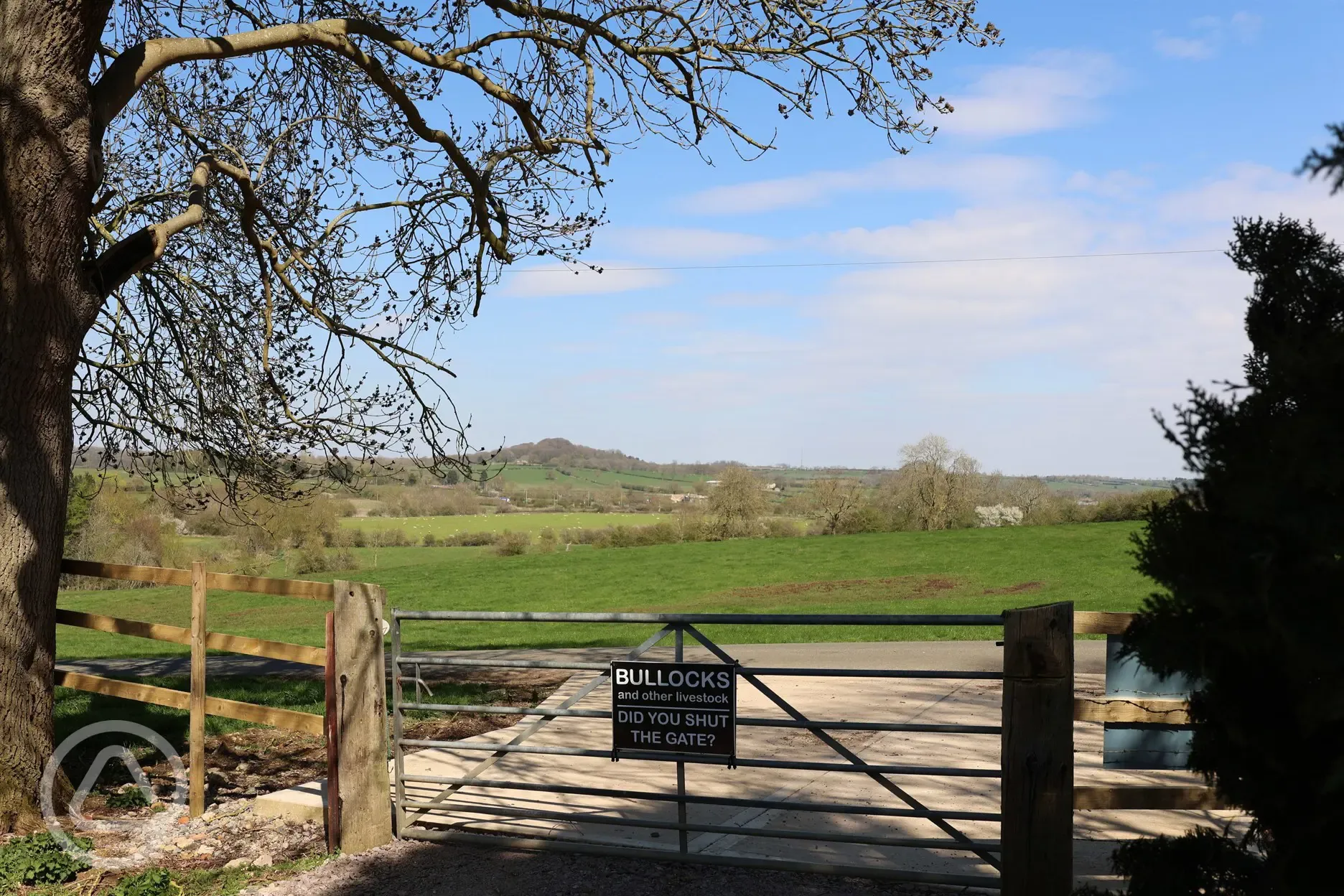 View out of the site