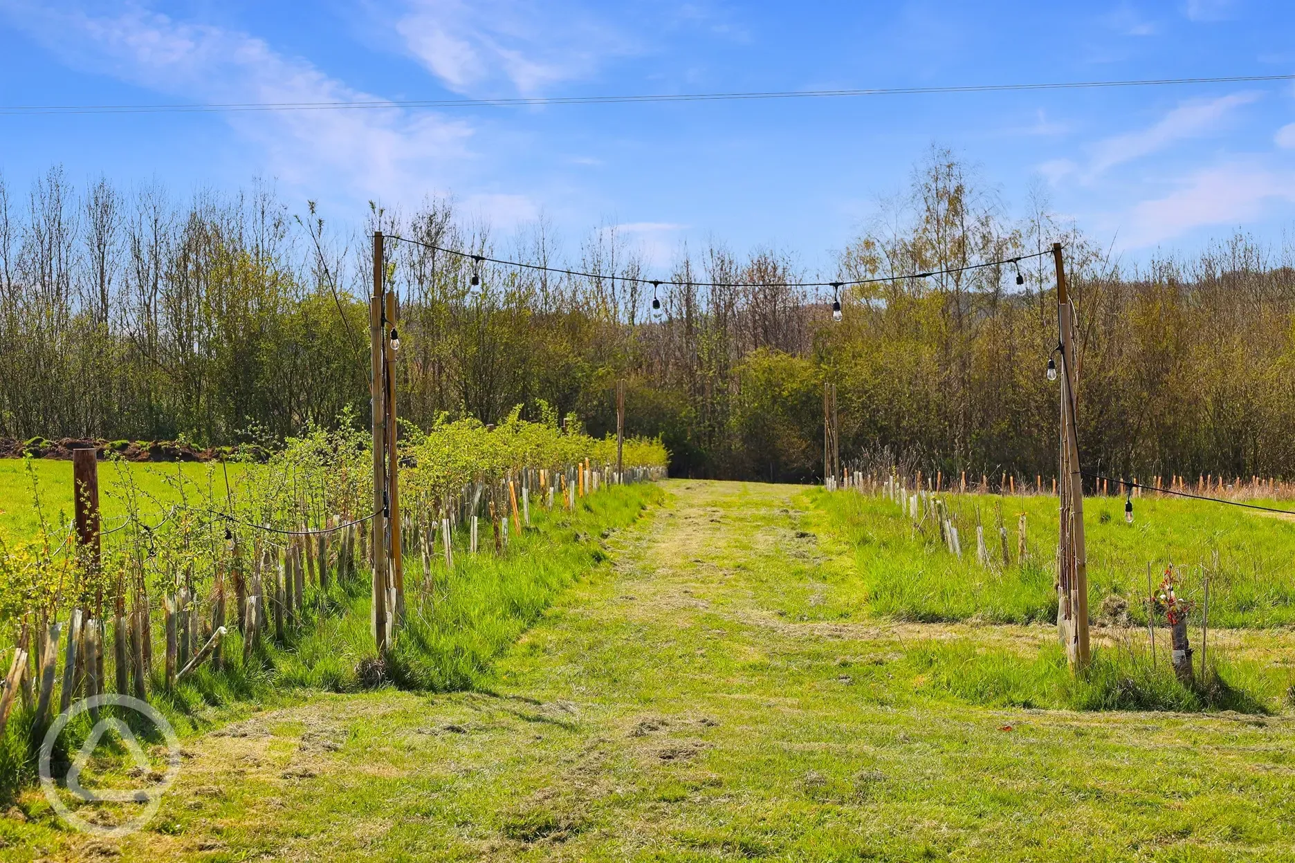 Path to grass pitches