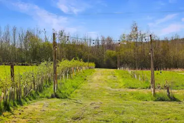 Path to grass pitches