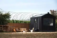 Pheasant glamping cabin