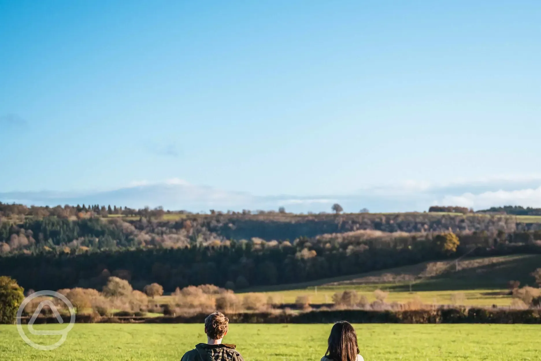 Views over the site