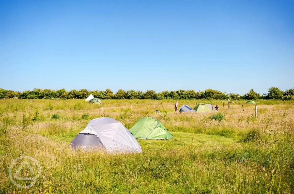 Non electric meadow pitches