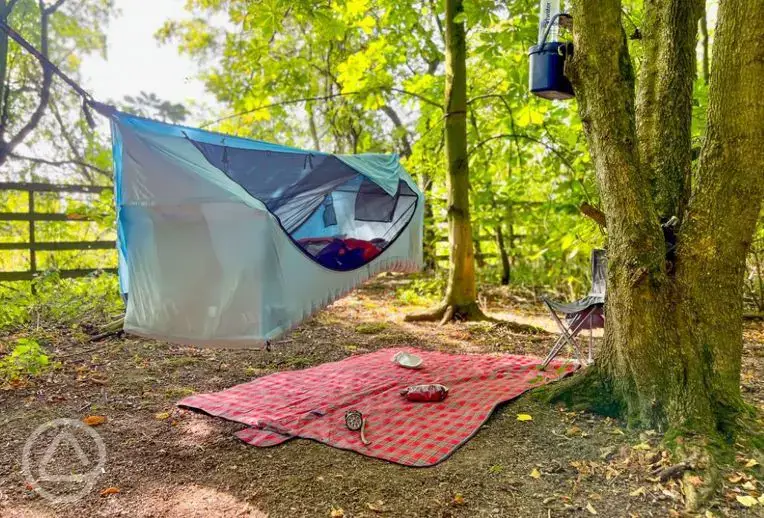 Hammock haven