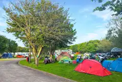 Small grass tent pitches with optional electric