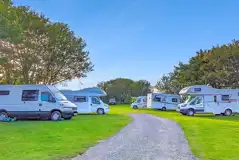 Grass 3m x 8m pitches with 16 amp electric hook ups