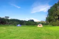 Non electric grass pitches for tents at Ritec Valley Glamping and Camping Non electric grass pitches for tents at Ritec Valley Glamping and Camping