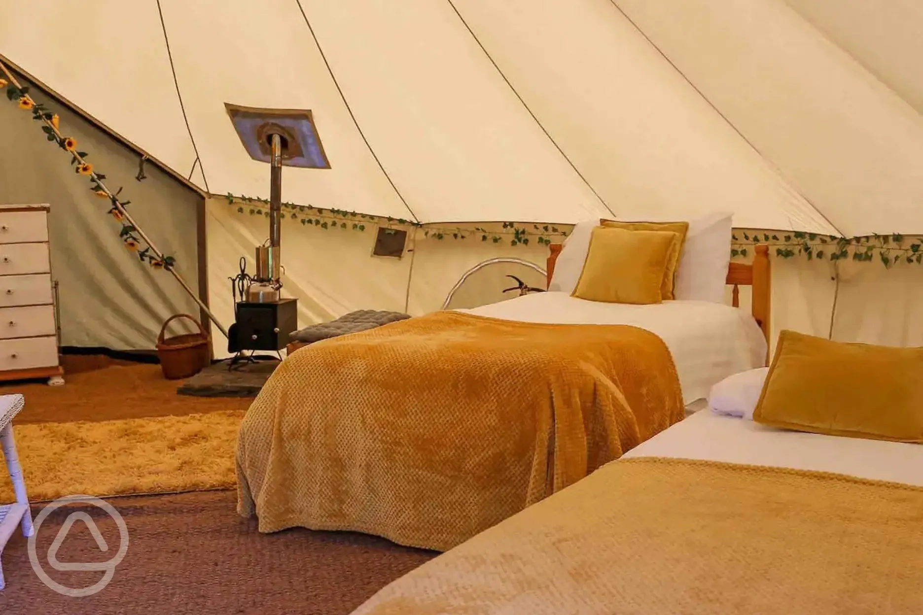 Sunflower bell tent single bed