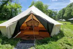 Sunflower bell tent sleeping up to six (dog friendly) Sunflower bell tent sleeping up to six (dog friendly)