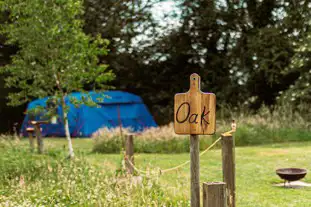 The Wildings Elms Meadow, Toft Monks, Norfolk