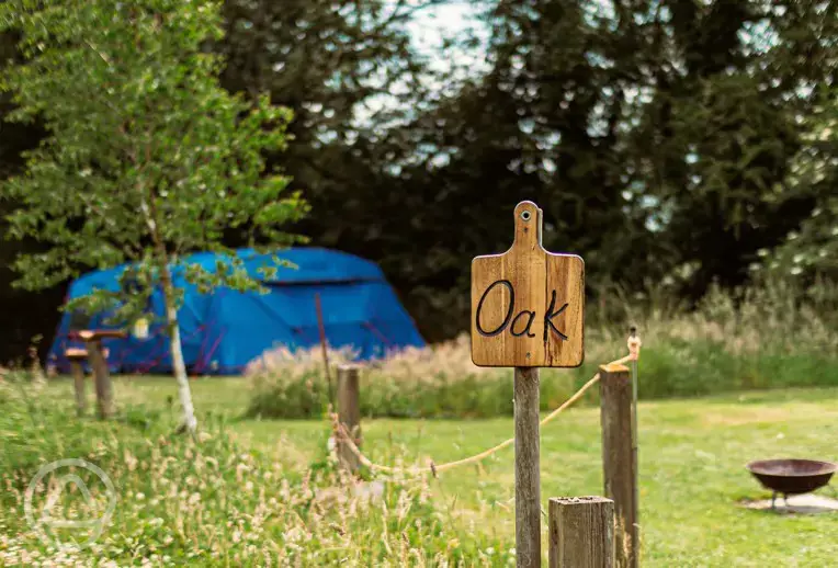 Optional electric grass pitches