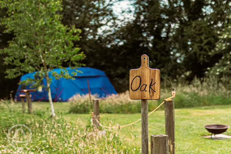 Optional electric grass pitches