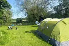 Optional electric grass pitches