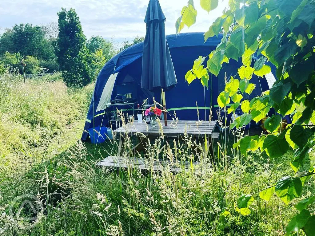 Optional electric grass pitches surrounded by rewilded areas