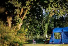 Camping pitches at The Wildings Elms Meadow