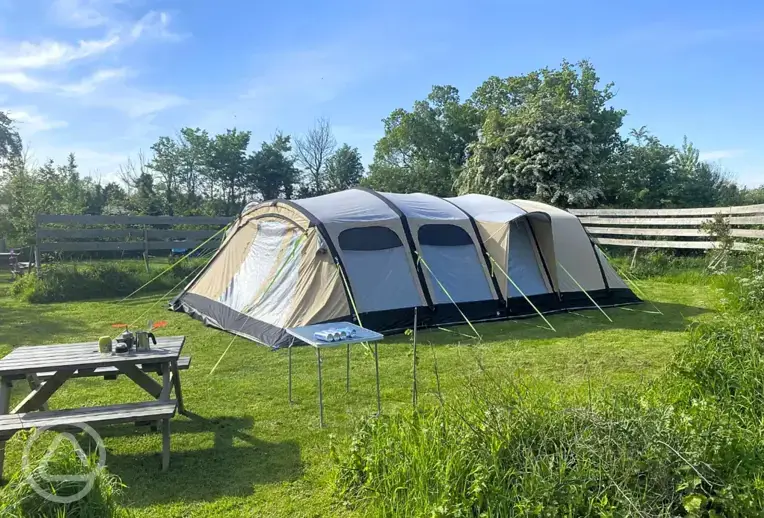Camping pitches at The Wildings Elms Meadow