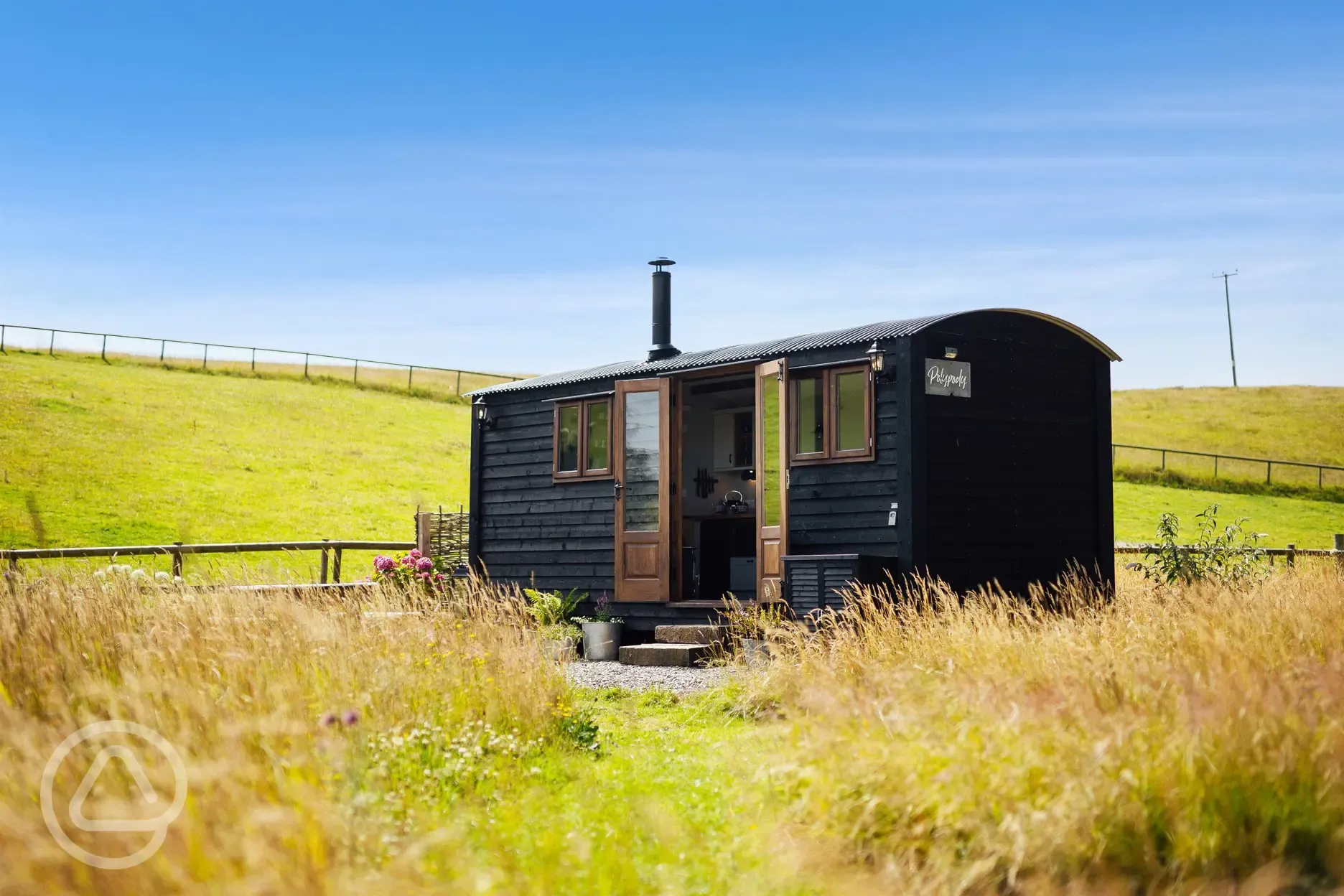 Polypody shepherd's hut