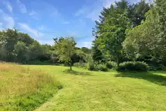 Electric grass pitch for up to 15 guests (Bramble Brook)