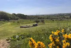 Buzzard's Landing pitch with a picnic table and fire pit