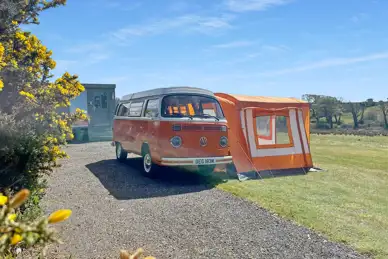 Stay Wild Cornwall Stay Wild Cornwall