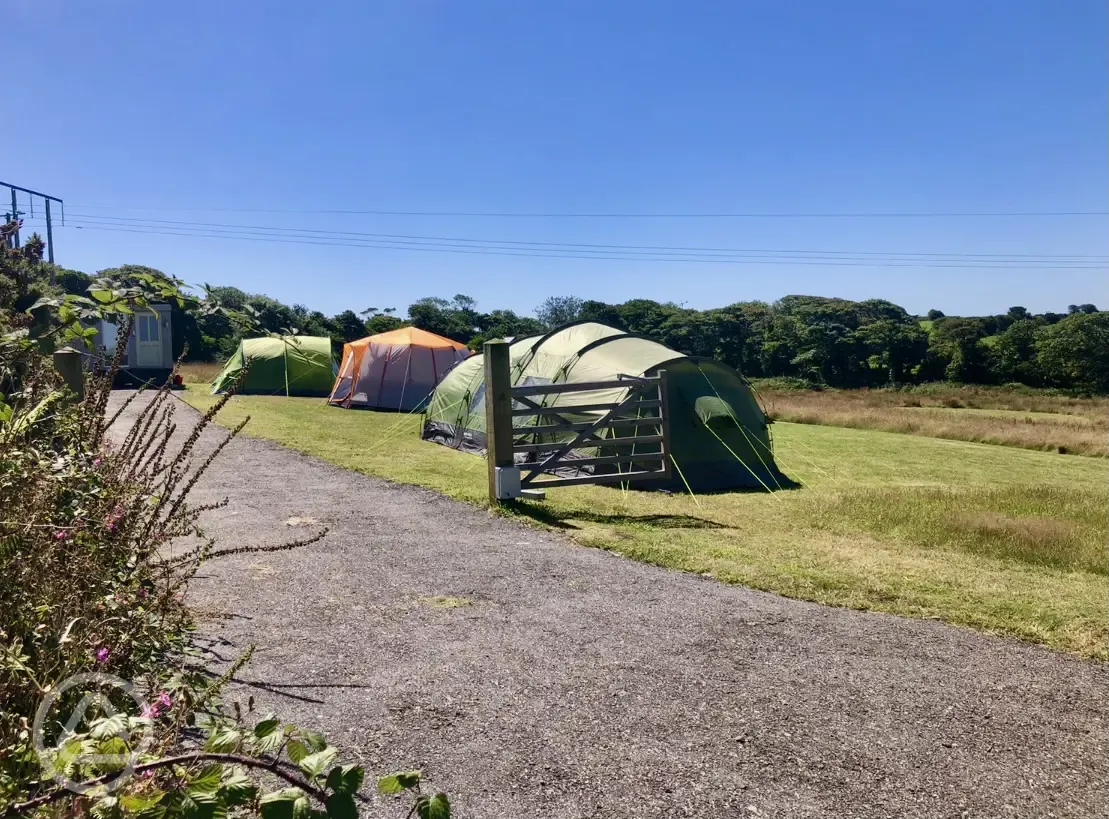 Electric hardstanding and grass ensuite pitch (Medlyn Meadows)