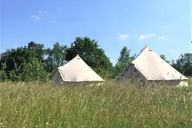 Surrey Hills Yurts