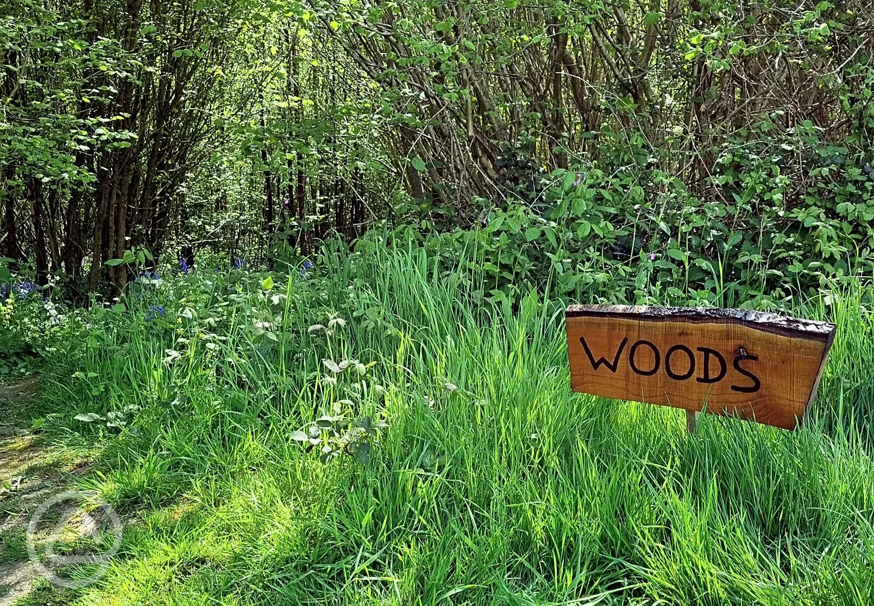 Entrance to the woodland walk