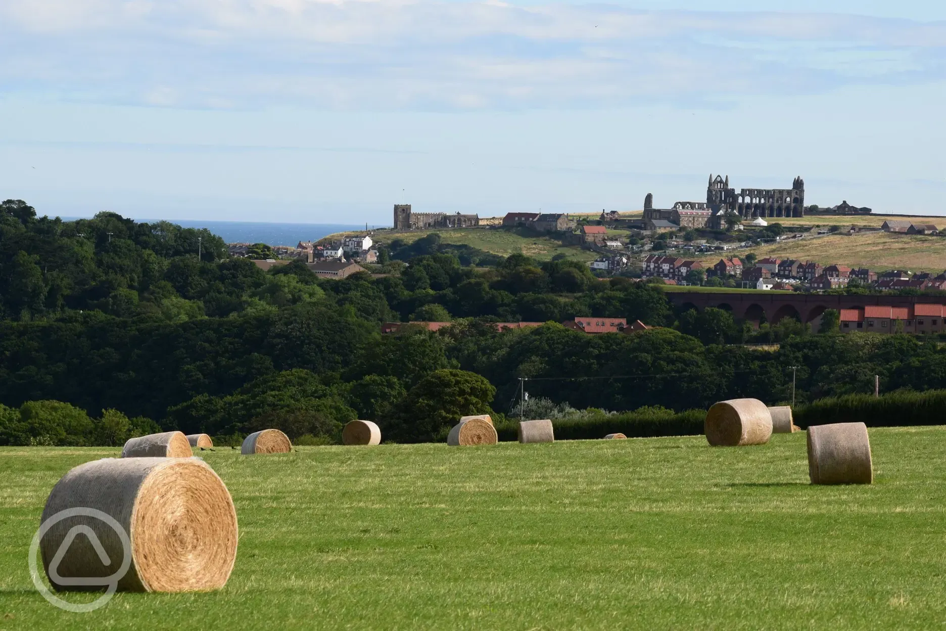 Whitby Abbey - 15 minutes from the site