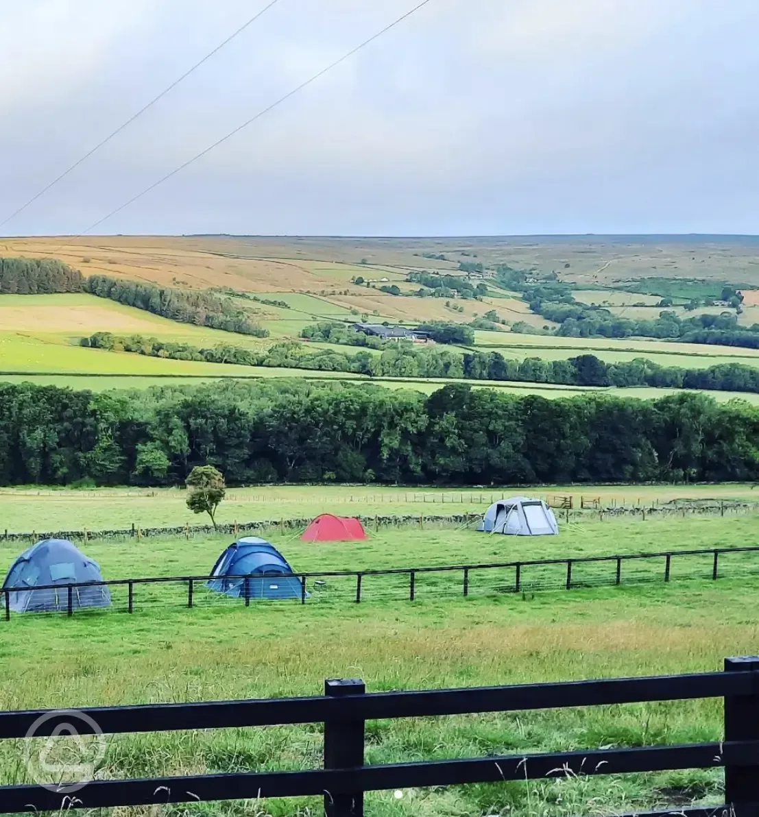 Non electric grass tent pitches