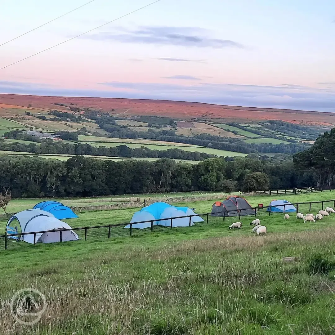 Non electric grass tent pitches