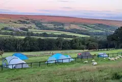 Non electric grass tent pitches