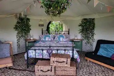 Tipsy Tree Glamping