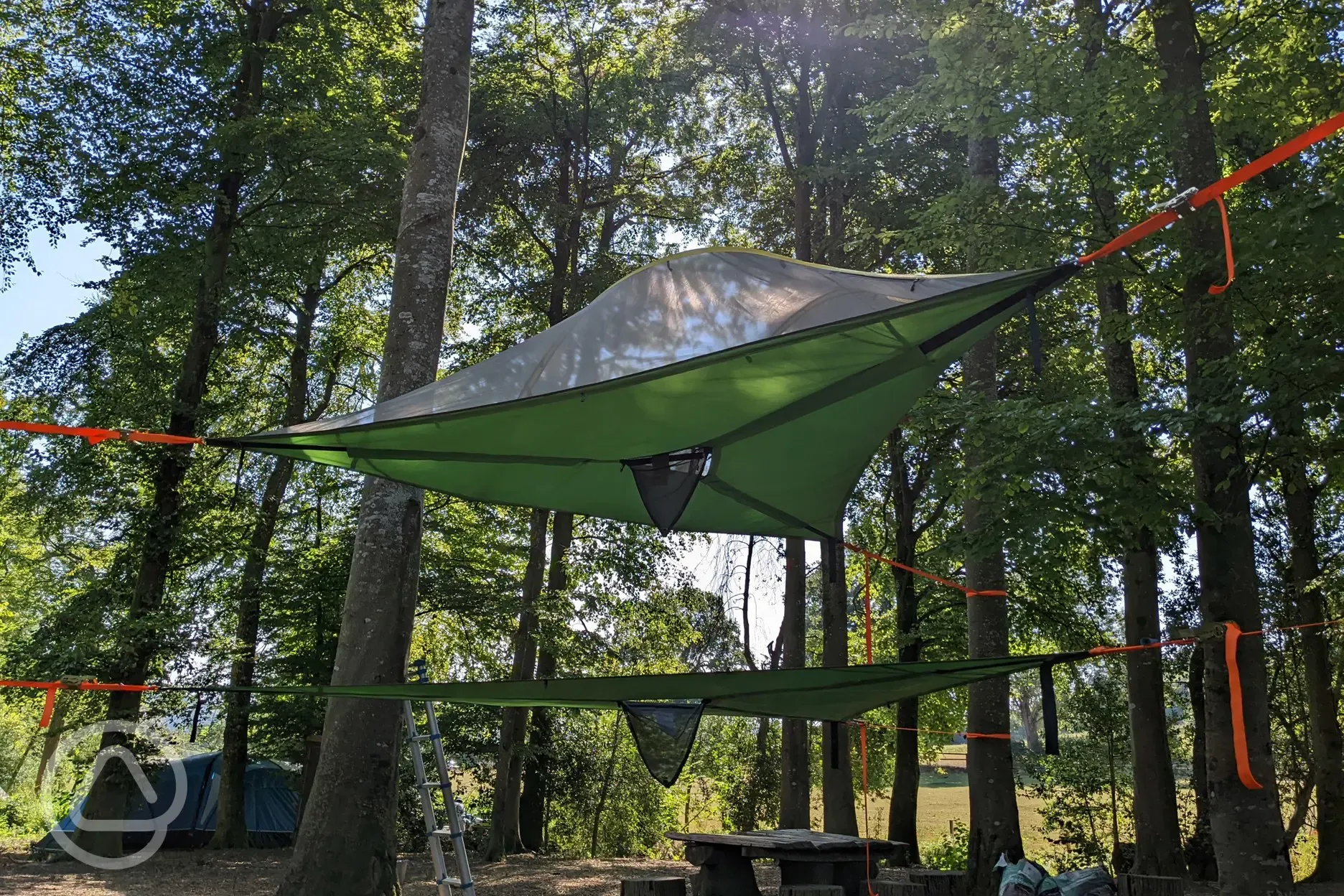 Hammock and suspended tents welcome