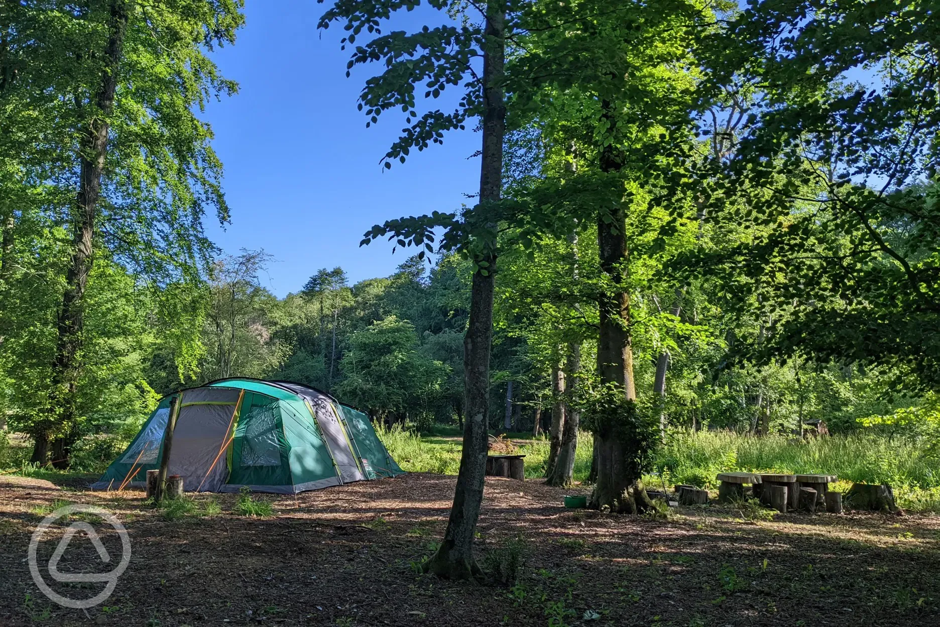 Camp under the trees