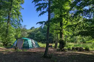 Wytch Wood Camping, Crewkerne, Somerset (2.4 miles)