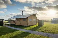 Woody tent Woody tent