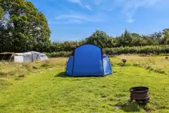 Spacious non electric grass tent pitches Spacious non electric grass tent pitches
