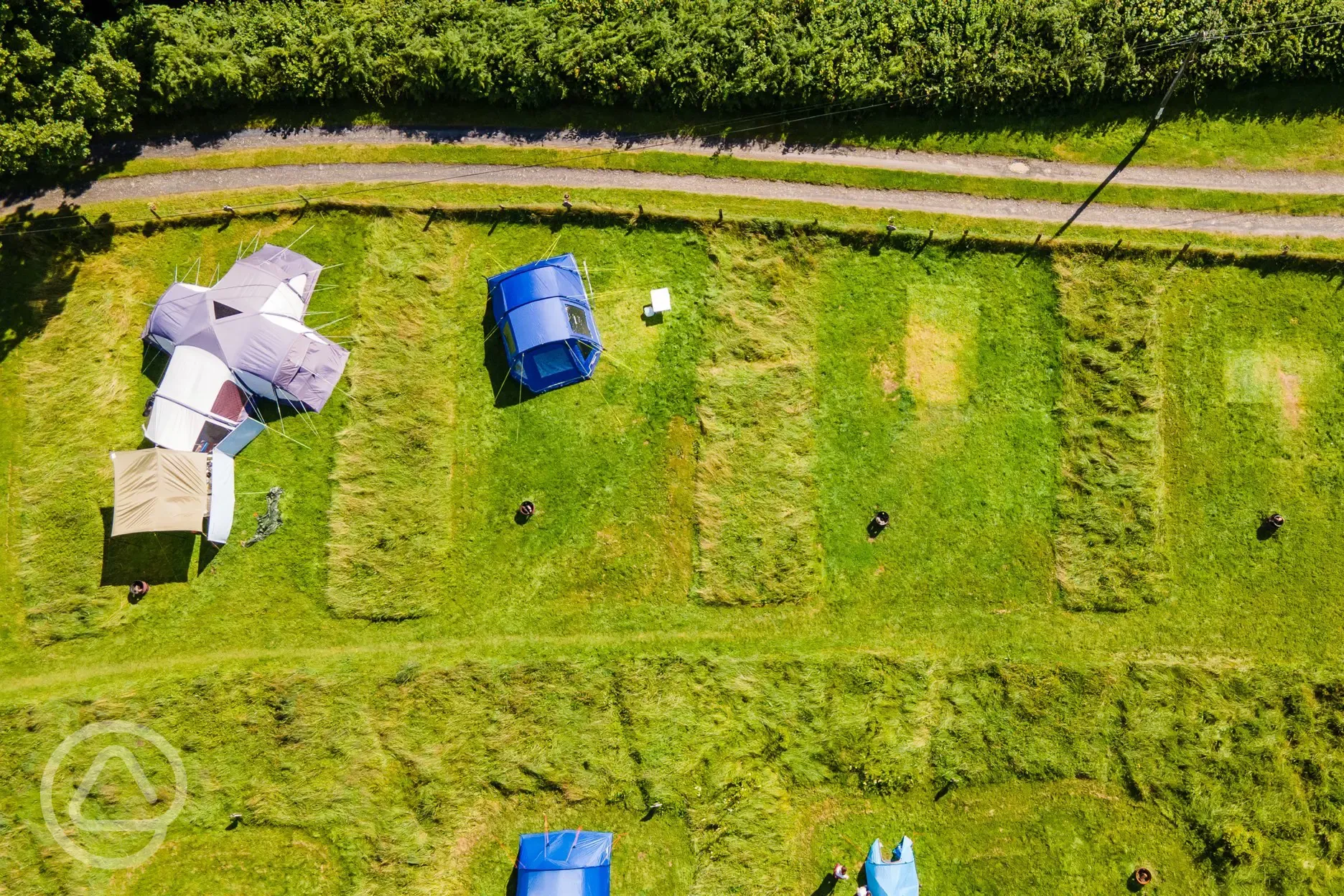 Aerial of pitches