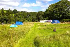 Non electric grass tent pitches, each with fire pit Non electric grass tent pitches, each with fire pit