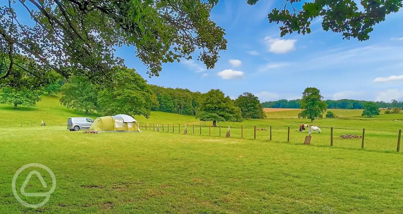 Non electric grass pitches