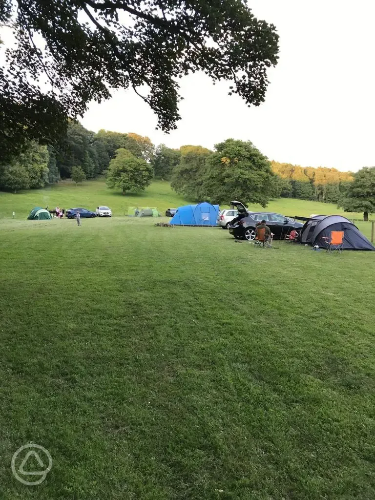 Non electric grass pitches