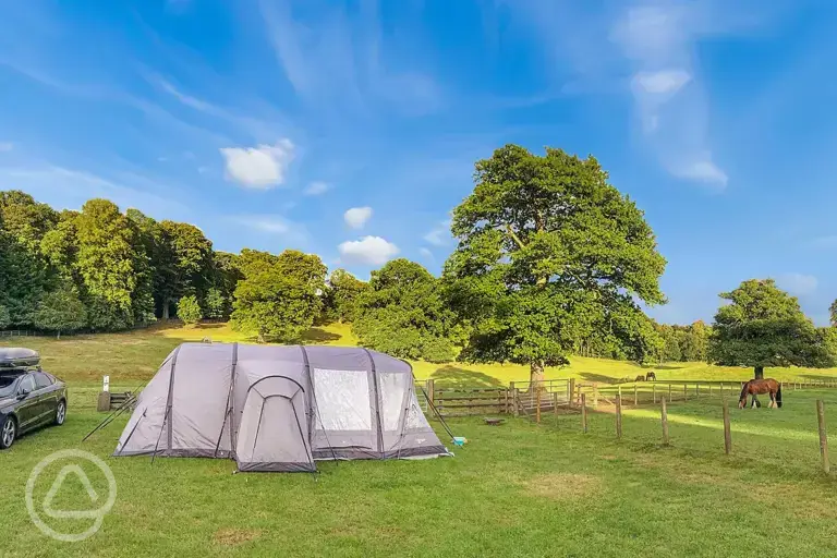 Non electric grass pitches