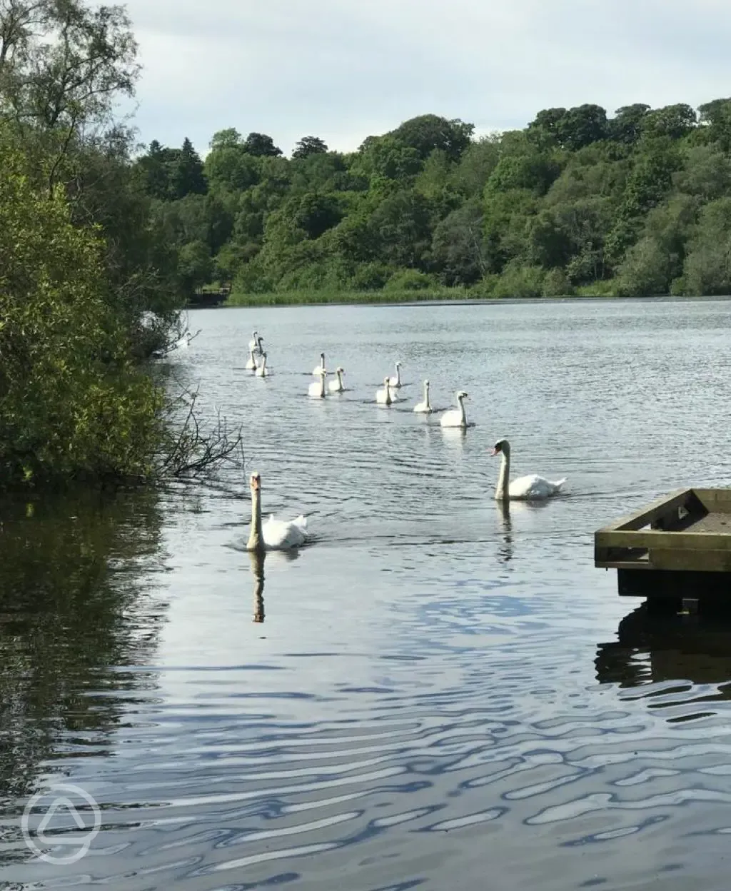 Opposite Bolam Lake Country Park 